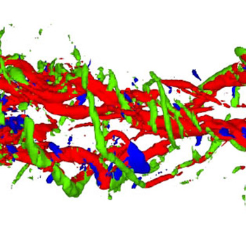 Green, red and blue image of biomechanics