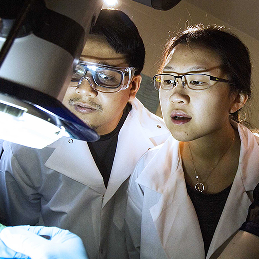 two students working with lab equipment